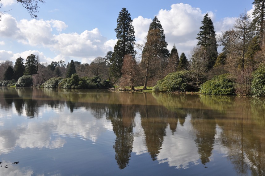 Redwood World: Uckfield - Sheffield Park (Sussex)